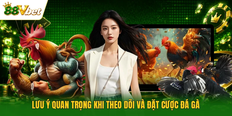 Lưu ý quan trọng khi theo dõi và đặt cược đá gà